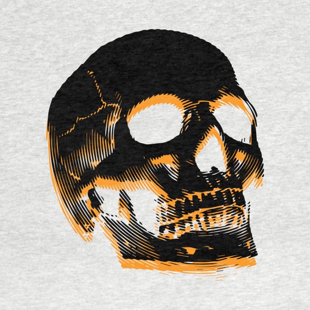 Skull by lkn